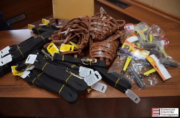 Луцькі гімназисти зібрали кошти для службових собак. ФОТО