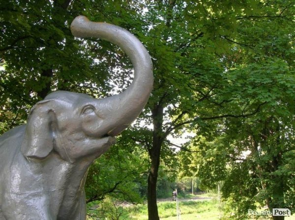 Луцький слоник змінив «шкіру». ФОТО