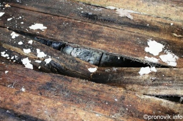 Як у Нововолинську занепадає міжшкільний комбінат. ФОТО