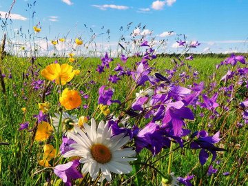 Яке свято 1 липня: чого не можна робити у цей день