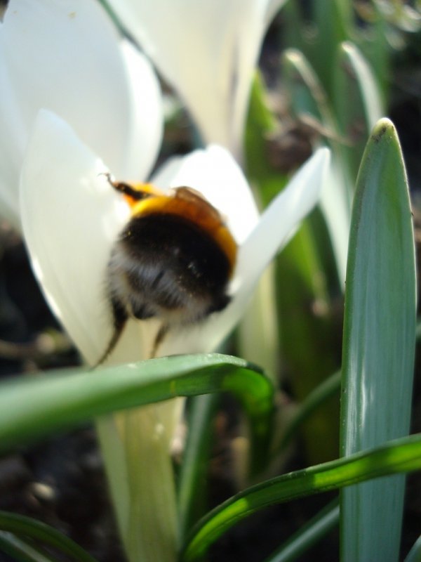 Фотовиставка Валентини Жуги