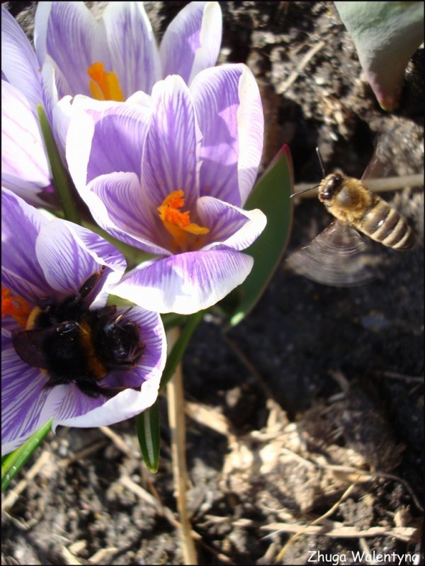 Фотовиставка Валентини Жуги