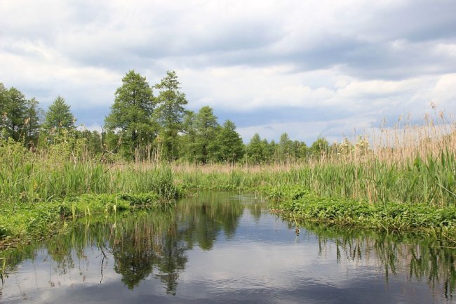 Волинський фотограф показав красу «високої води» річки Стохід. ФОТО