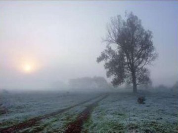 Волинських водіїв попереджають про туман на дорогах