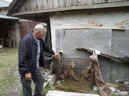 ФОТОРІК-2012. Частина друга