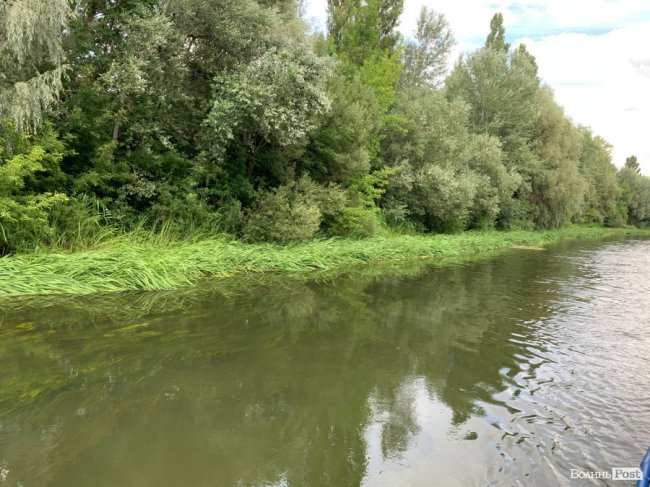 Розчищення Стиру: показали, на якому етапі роботи. ФОТО