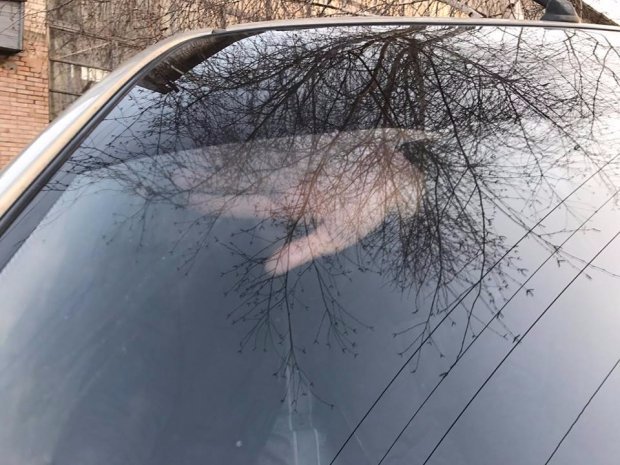 Нардеп Парасюк стверджує, що за ним стежать