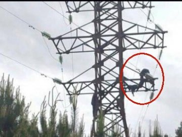 Трагедія на Волині: 16-річний підліток загинув від удару струмом