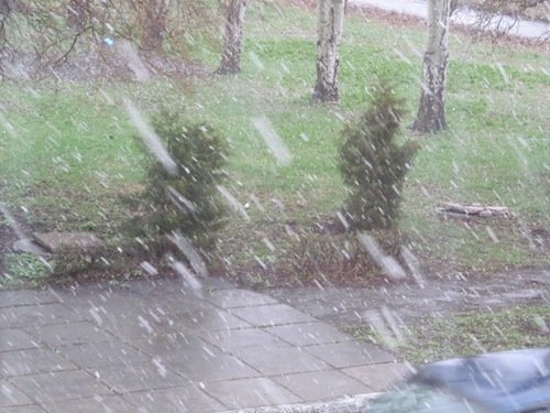 Луганщину посипало снігом. ФОТО