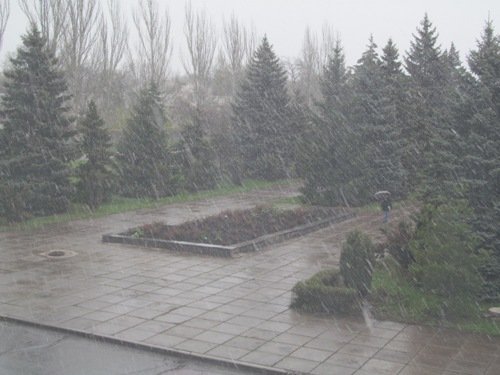 Луганщину посипало снігом. ФОТО