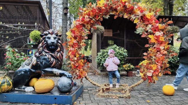 фото Суспільне