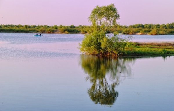 Лісова пісня озерного Полісся. ФОТО