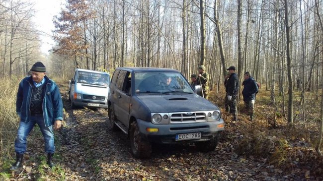 У Цуманській пущі висадили тисячі дубів. ФОТО