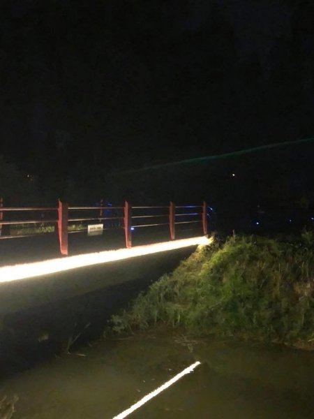 У центральному парку Луцька підсвітили 2 містки. ФОТО