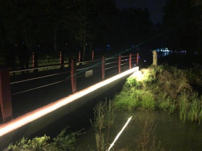 У центральному парку Луцька підсвітили 2 містки. ФОТО