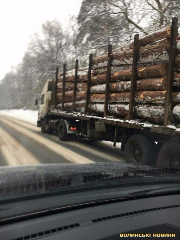 У Луцьку колода з вантажівки ледь не розтрощила авто