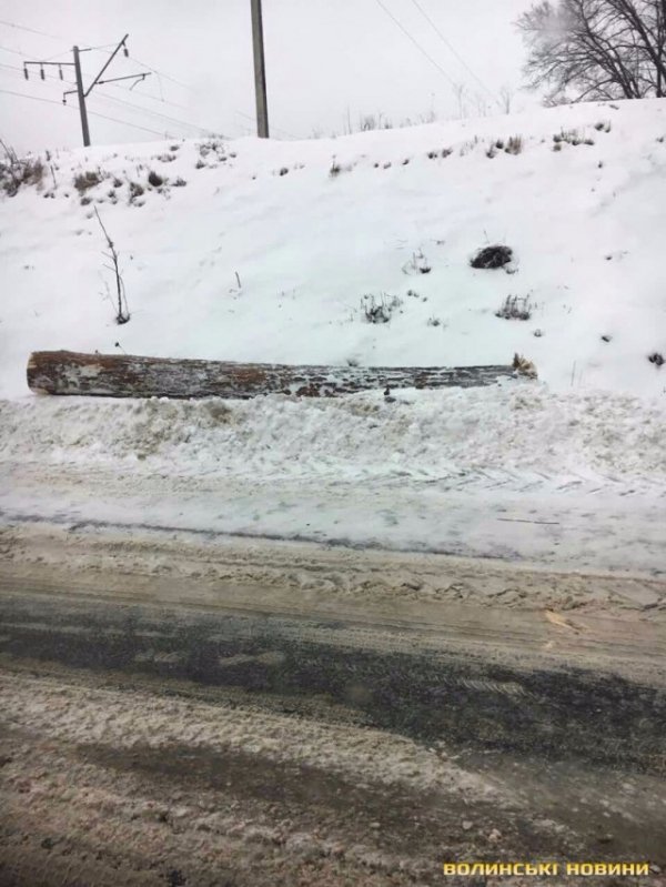 У Луцьку колода з вантажівки ледь не розтрощила авто