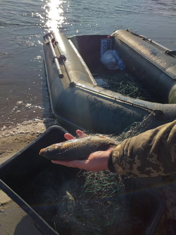 У Шацькому районі затримали трьох браконьєрів, що ловили рибу сітками. ФОТО