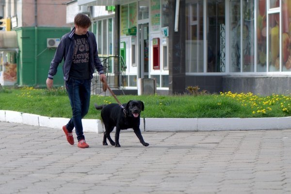 Луцьк вихідний. ФОТО