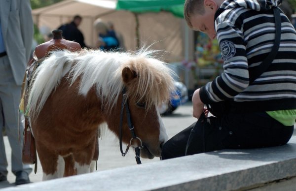 Луцьк вихідний. ФОТО