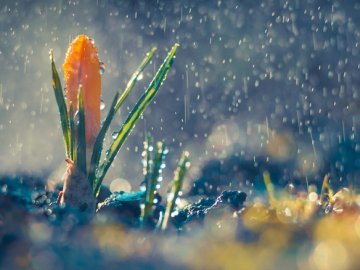 Погода в Луцьку та Волинській області на четвер, 12 березня