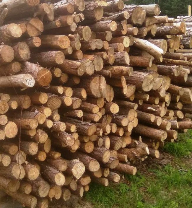 Де і за скільки волинянам купити дрова