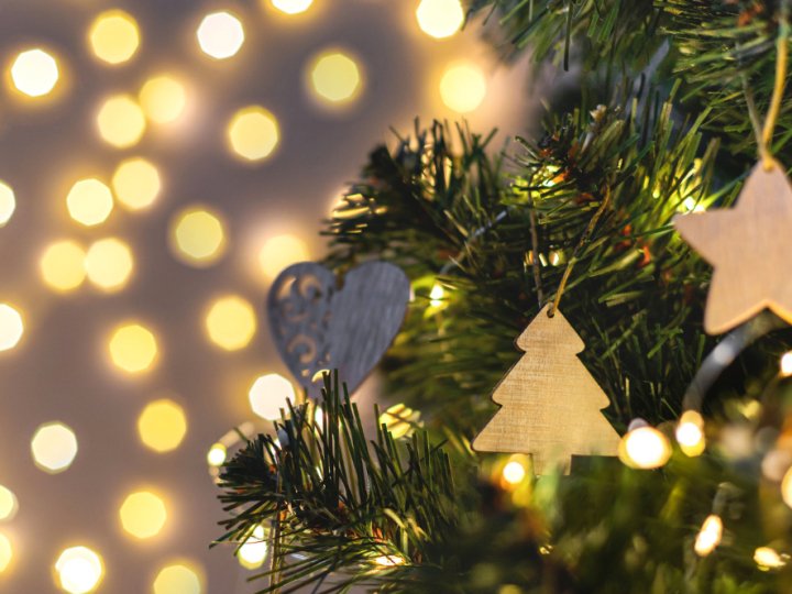 Скільки коштують ялинки у місті на Волині: огляд цін 