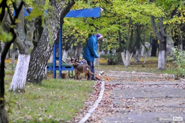 Люди, які прибирають луцькі вулиці. ФОТО