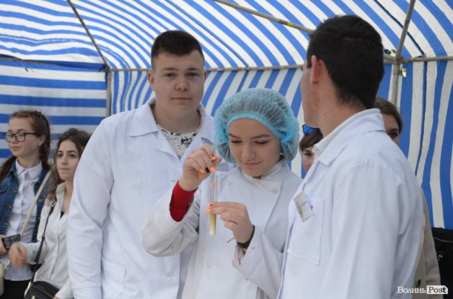 Від мініатюрних тістечок до величезних гойдалок: у центрі Луцька – свято професійної освіти. ФОТО