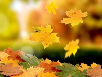 Синоптикиня розповіла, якою буде погода в листопаді та чи очікувати снігу 