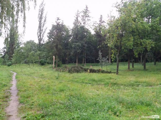 Гілля на проводах та потрощені дерева: луцький проспект після бурі. ФОТО