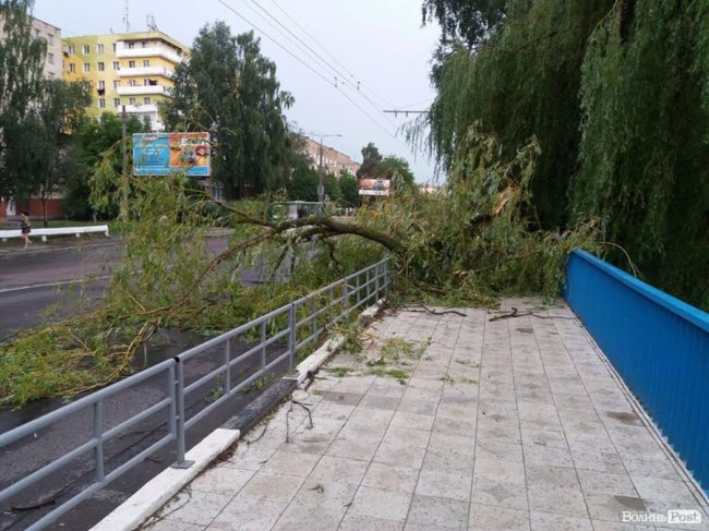 Гілля на проводах та потрощені дерева: луцький проспект після бурі. ФОТО