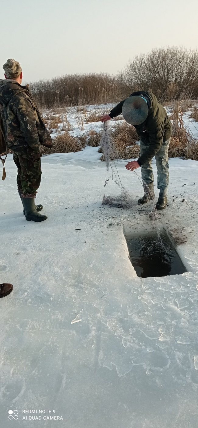 У Луцькому районі троє рибалок-браконьєрів ловили щук сіткою. ФОТО