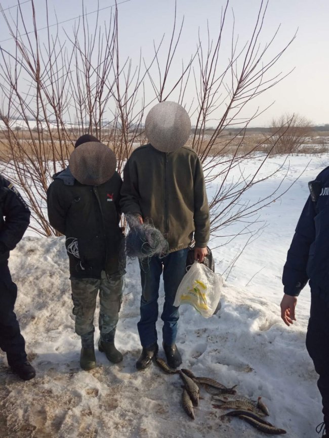 У Луцькому районі троє рибалок-браконьєрів ловили щук сіткою. ФОТО