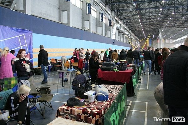 У Луцьку – виставка собак. ФОТО