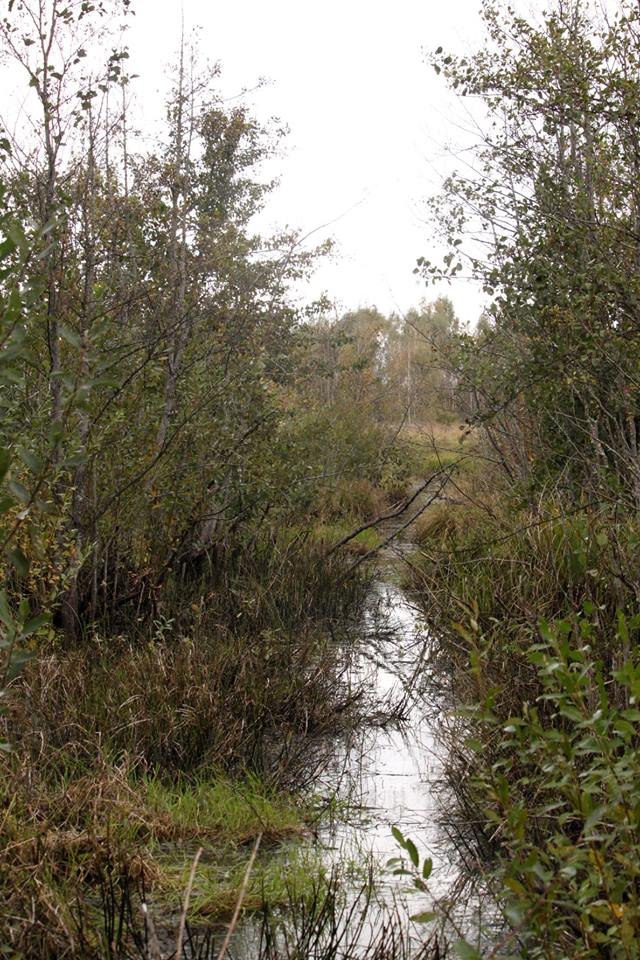 Давно забутий Трохимбрід на світлинах волинського фотографа