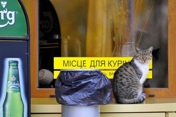 Осінній Луцьк. ФОТО