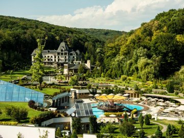 Голлівудська зірка хоче придбати курорт на Закарпатті