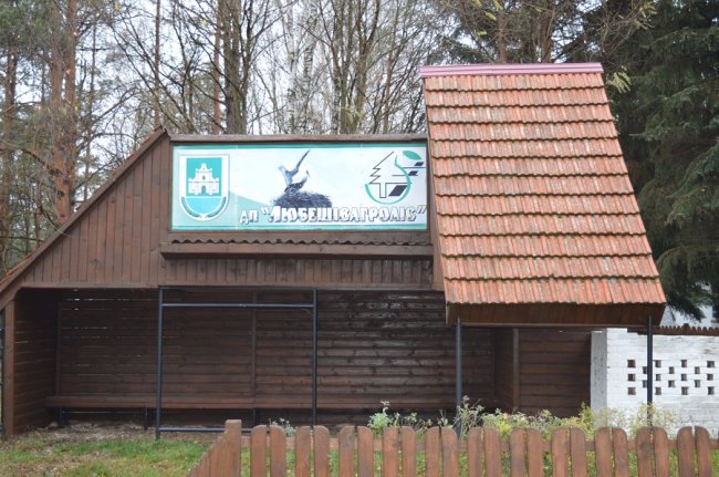 На Волині лісівники облаштували зупинки на міжнародній трасі