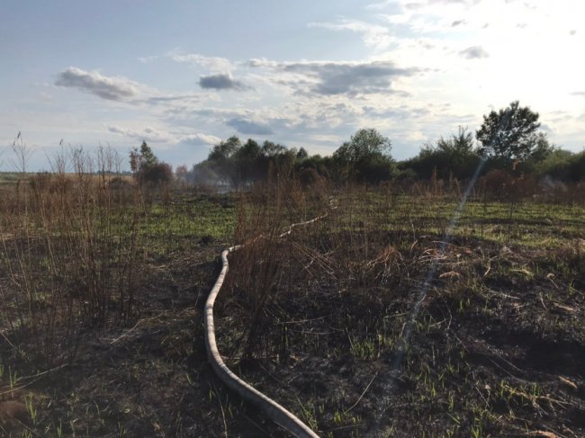 На Волині горить торф'яник: працюють пожежники. ФОТО