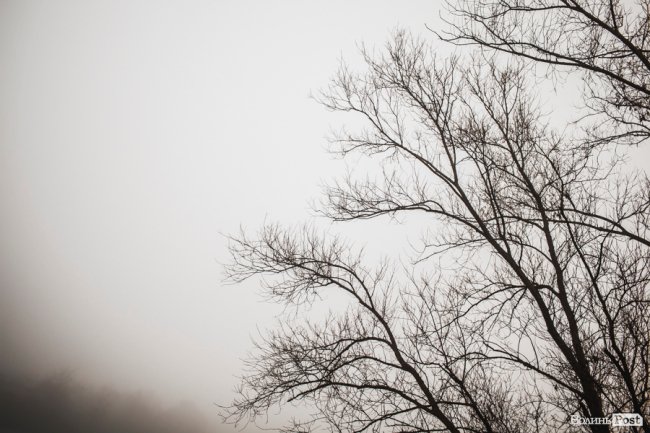 Туманно-сіра краса у Луцьку. ФОТО