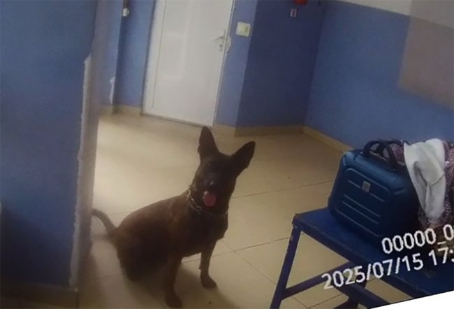 У «Ягодині» у 41-річної волинянки знайшли наркотики