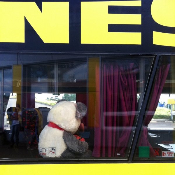 Фотовиставка Лідії Кожевнікової