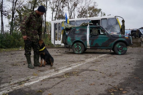 Гнила капуста та стара гармата - допомога бійцям в АТО. ФОТО