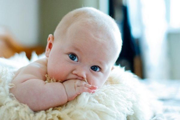 Фотовиставка Дмитра Лисюка