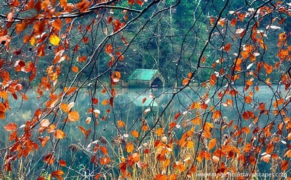 Кращі осінні фото