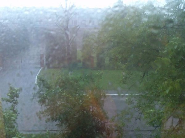 Негода у Луцьку: поламані дерева та понівечені авто. ФОТО