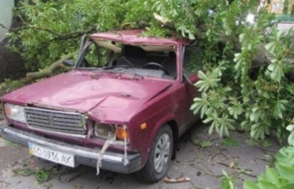Негода у Луцьку: поламані дерева та понівечені авто. ФОТО