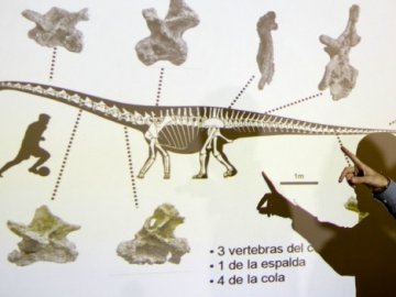 В Аргентині знайшли кістки «найбільшого ящура» у світі. ФОТО