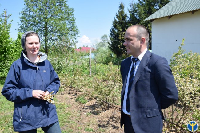 Особистий досвід: як «приборкати» примхливу ягоду